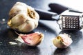 Fresh garlic and garlic presser. Royalty Free Stock Photo
