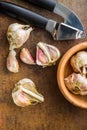 Fresh garlic and garlic presser. Royalty Free Stock Photo