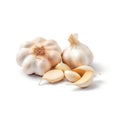 Fresh garlic heads and garlic cloves ingredient for cooking isolated with white background Generative AI Illustration