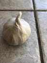 Fresh garlic