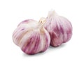 Fresh garlic isolated on white Royalty Free Stock Photo