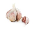 Fresh garlic isolated on white