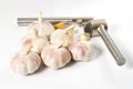 Fresh Garlic isolated on white background close-up. Fresh garlic with metal garlic extruder, press