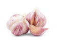 Fresh garlic isolated on white Royalty Free Stock Photo