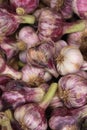 Fresh garlic at the market