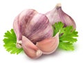 Fresh garlic with parsley isolated on white background Royalty Free Stock Photo