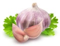 Fresh garlic with parsley isolated on white background Royalty Free Stock Photo