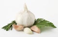 Fresh garlic with rosemary and parsley isolated on white background. Raw garlic Royalty Free Stock Photo