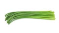 Fresh garlic shoots Royalty Free Stock Photo