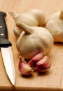 Fresh garlic spice vegetable Royalty Free Stock Photo