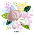 Fresh garlic vegetable juice splash organic food juicy vegetables splatter on abstract coloful splatter splash background vector