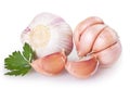 Fresh garlic on white background