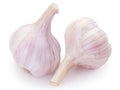 Fresh garlic on white background