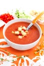 Fresh Gazpacho soup Royalty Free Stock Photo