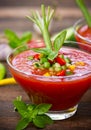 Fresh gazpacho Royalty Free Stock Photo
