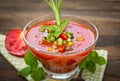 Fresh gazpacho Royalty Free Stock Photo