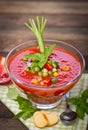 Fresh gazpacho Royalty Free Stock Photo