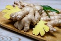 Fresh gember roots used for cooking and medicine Royalty Free Stock Photo