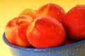 Fresh Georgia peaches