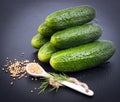 Fresh gherkin Royalty Free Stock Photo