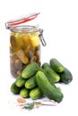 Fresh gherkin Royalty Free Stock Photo