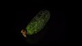 Green-skinned cucumber rotates on a black background.