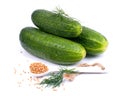 Fresh gherkin Royalty Free Stock Photo