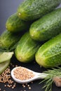 Fresh gherkins Royalty Free Stock Photo