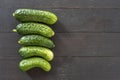 Fresh gherkins, young cucumber Royalty Free Stock Photo