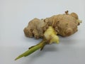 The fresh ginger Royalty Free Stock Photo