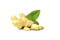Fresh Ginger  Thai Herbs for Health Royalty Free Stock Photo