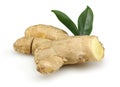 Fresh ginger Royalty Free Stock Photo