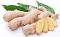 Fresh ginger with leaves.