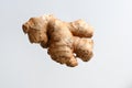 Fresh ginger root flying in the air on a white background