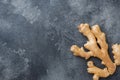 Fresh ginger root on grey background. Copy space Royalty Free Stock Photo