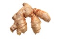 Fresh ginger root isolated Royalty Free Stock Photo