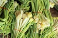 Fresh ginger root in the market Royalty Free Stock Photo