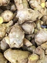 Fresh Ginger root at the market Royalty Free Stock Photo