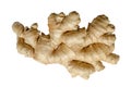 Fresh ginger root, rhizome from above, isolated over white background