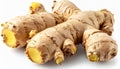 Fresh Ginger Root Rhizome on White Background Cut and Uncut Pieces Royalty Free Stock Photo