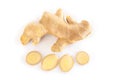 Fresh ginger root with sliced islolated on white background for herb and medical product concept Royalty Free Stock Photo