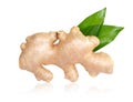 Fresh ginger root with sliced islolated on white background for herb and medical product concept Royalty Free Stock Photo