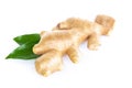 Fresh ginger root with sliced isolated on white background for herb and medical product concept Royalty Free Stock Photo