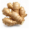 Fresh Ginger Root on White Background Close Up View of Textured Tan Rhizome Royalty Free Stock Photo