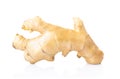 Fresh ginger root on white background for herb and medical product concept, clipping path Royalty Free Stock Photo