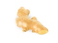 Fresh ginger root on white background for herb and medical product concept Royalty Free Stock Photo