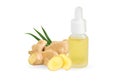 Fresh ginger root on white background for herb and medical product concept Royalty Free Stock Photo