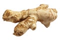 Fresh Ginger Root on White Background Royalty Free Stock Photo