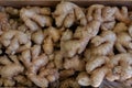 Fresh ginger root in wooden box at market store Royalty Free Stock Photo