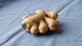 A fresh ginger root Zingiber officinale rests on a blue fabric surface Royalty Free Stock Photo